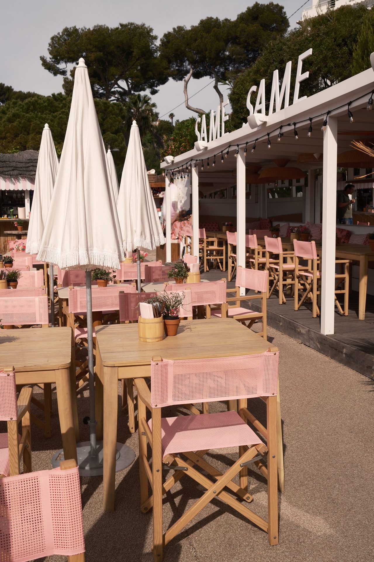 Enseigne Same Same, terrasse lumière dorée